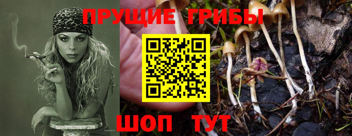 Галлюциногенные грибы GOLDEN TEACHER Урюпинск